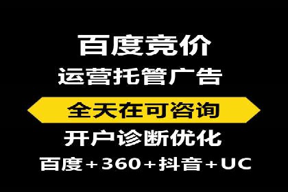 百度竞价公司成功案例：如何实现ROI最大化